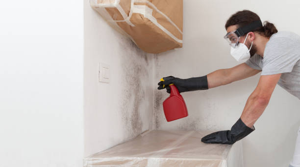 Professional Attic Mold Remediation technician working in Lusby, MD